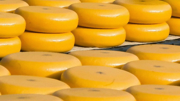Imported Dutch Cheese