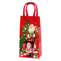 Windel Christmas mini Giftbag 72g